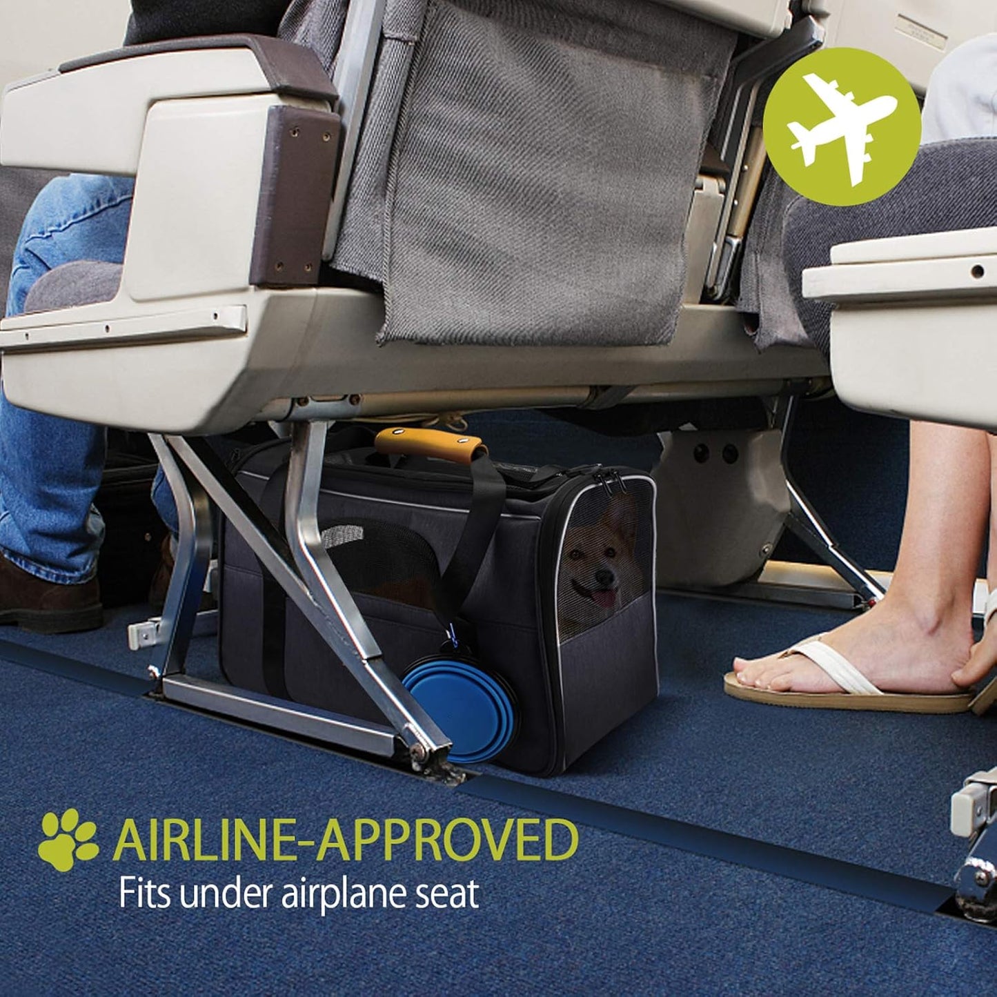 Portable Pet Carrier Bag, Top Opening, Removable Mat and Breathable Mesh, Foldable Transport Carrier for Dogs and Cats, with Shoulder Strap and Pet Bowl, Grey