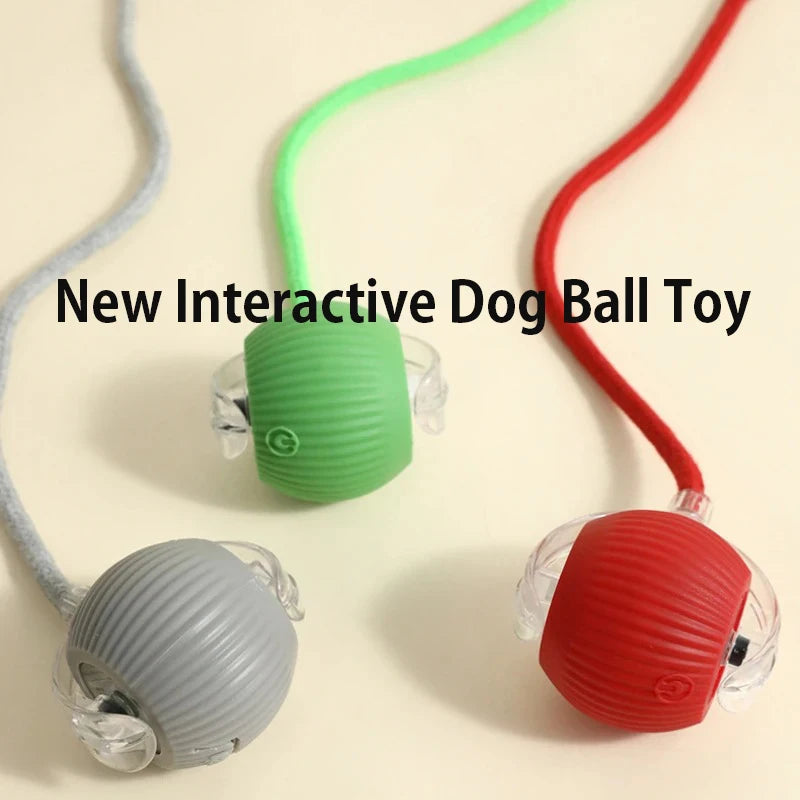 New Dog Interactive Ball Toy,Automatic Rolling Dog Ball Rechargeable,Smart Puppy Interactive Toy,Intelligent Balls Toy for Dogs